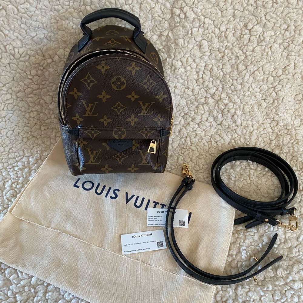 Louis Vuitton palm spring mini